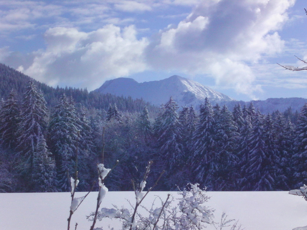 Winterlandschaft